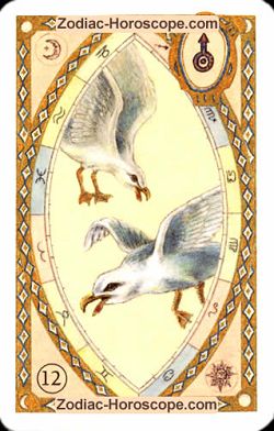 The birds, monthly Love and Health horoscope December Sagittarius
