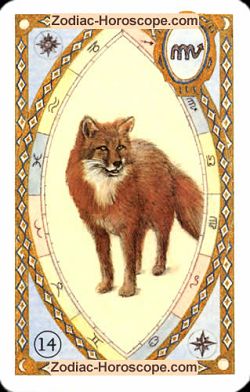 The fox, monthly Love and Health horoscope April Sagittarius