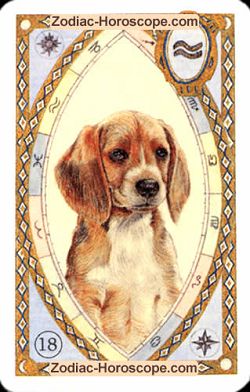 The dog, monthly Love and Health horoscope February Sagittarius