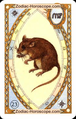 The mice, monthly Love and Health horoscope February Sagittarius