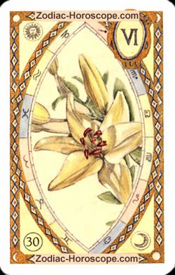 The lily, monthly Love and Health horoscope December Sagittarius