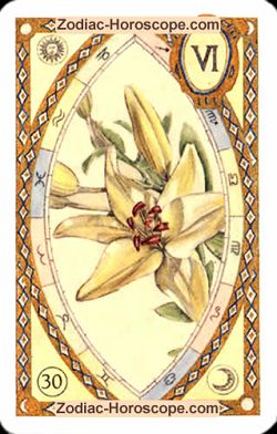 The lily, monthly Love and Health horoscope August Sagittarius