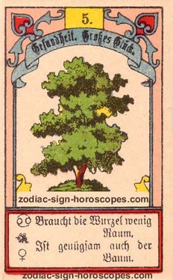 The tree, monthly Sagittarius horoscope October