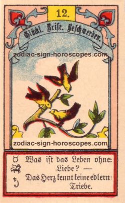 The birds, monthly Sagittarius horoscope January