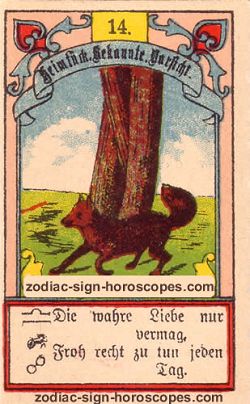 The fox, monthly Sagittarius horoscope October