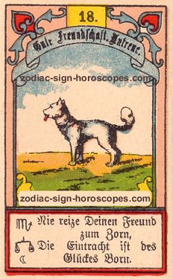 The dog, monthly Sagittarius horoscope July