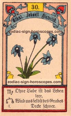 The lily, monthly Sagittarius horoscope May